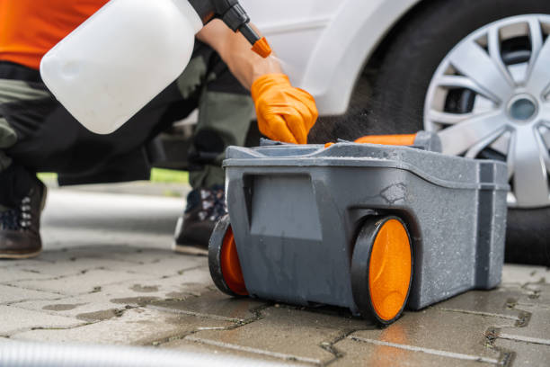 Best Lawn Renovation and Restoration  in Nes, IL